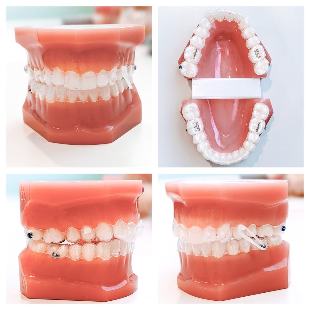 image of business Nahal Ashouri, DDS MS