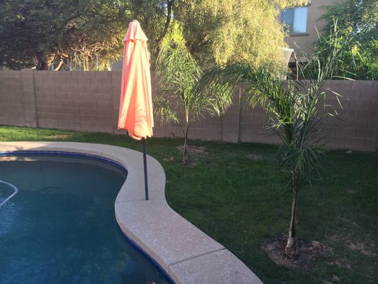 Treeland Nurseries 2900 S Country Club Dr Mesa Az Plants Treeland Nurseries 2900 S Country Club Dr Mesa Az Plants Trees Etc Whole Mapquest