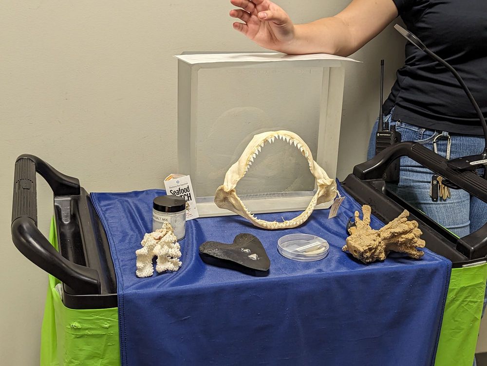 Greensboro Science Center