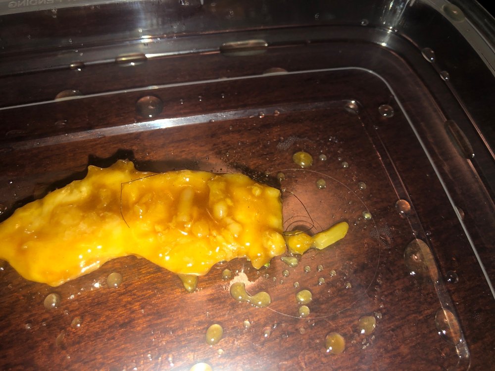 New Hong Kong Chinese Restaurant