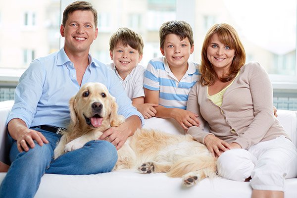 image of business Mazar Shuaipaj , DDS - Alsip Dental Center