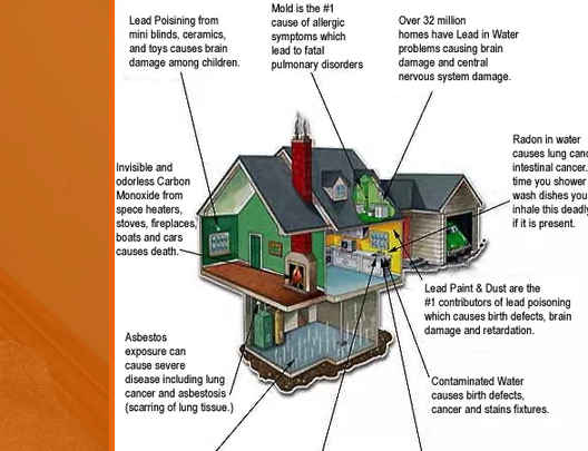 Mold & Moisture Medics