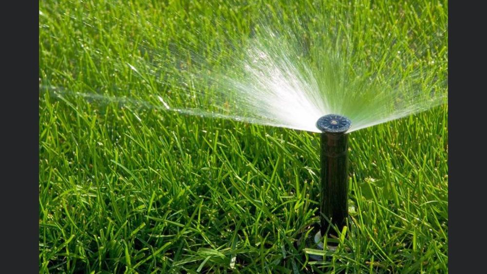 Green Horse Landscaping