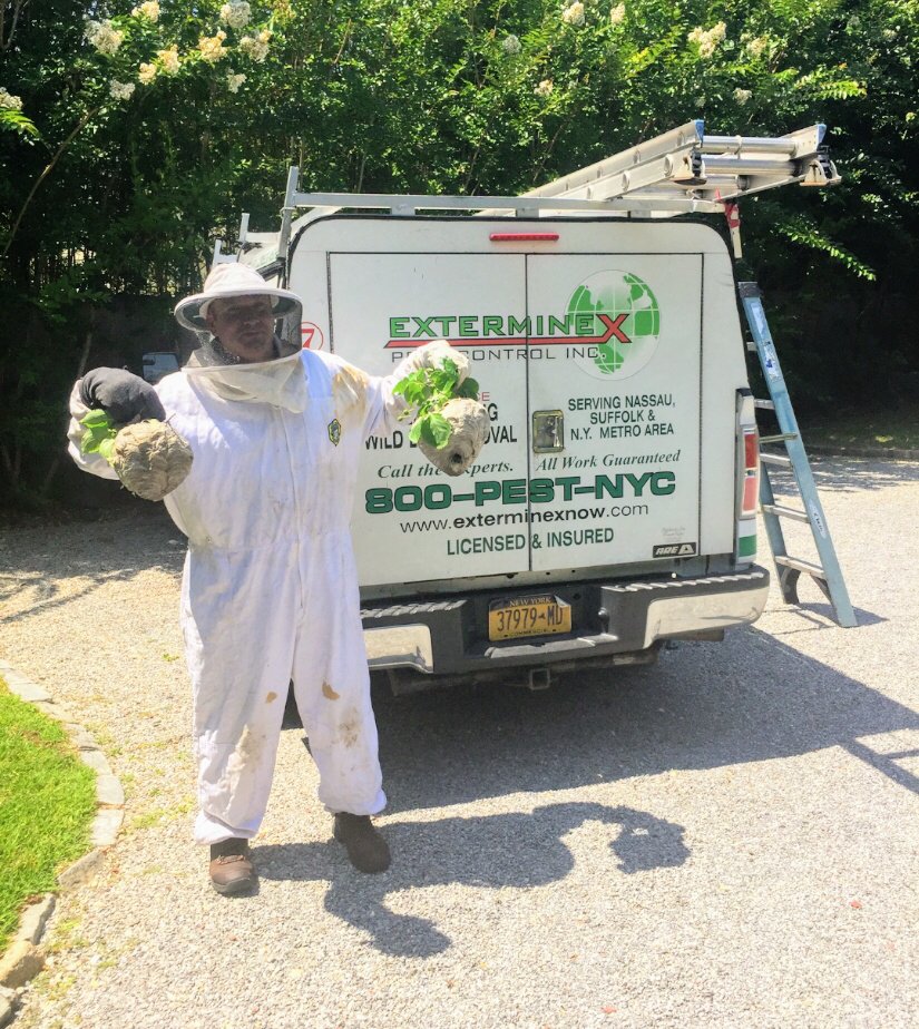 Exterminex Pest Control