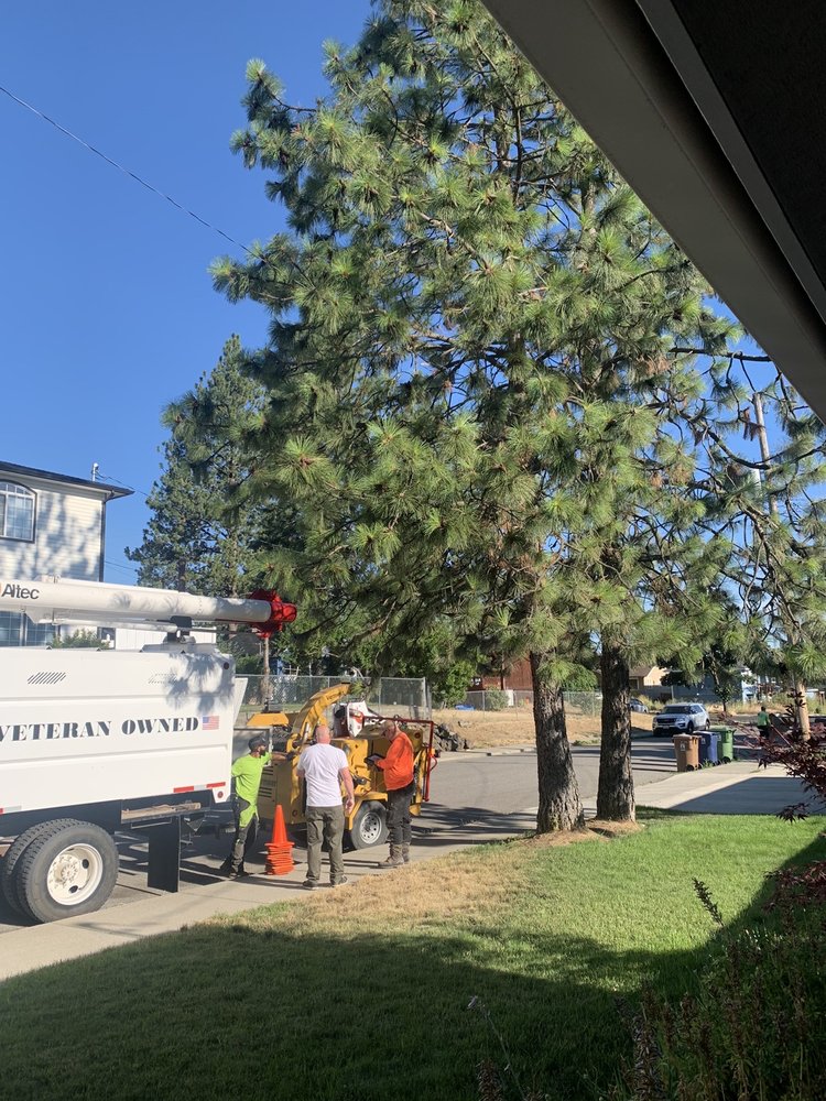 Brett's Tree Service