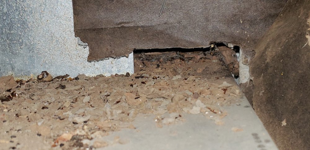 Core Inspection Services
