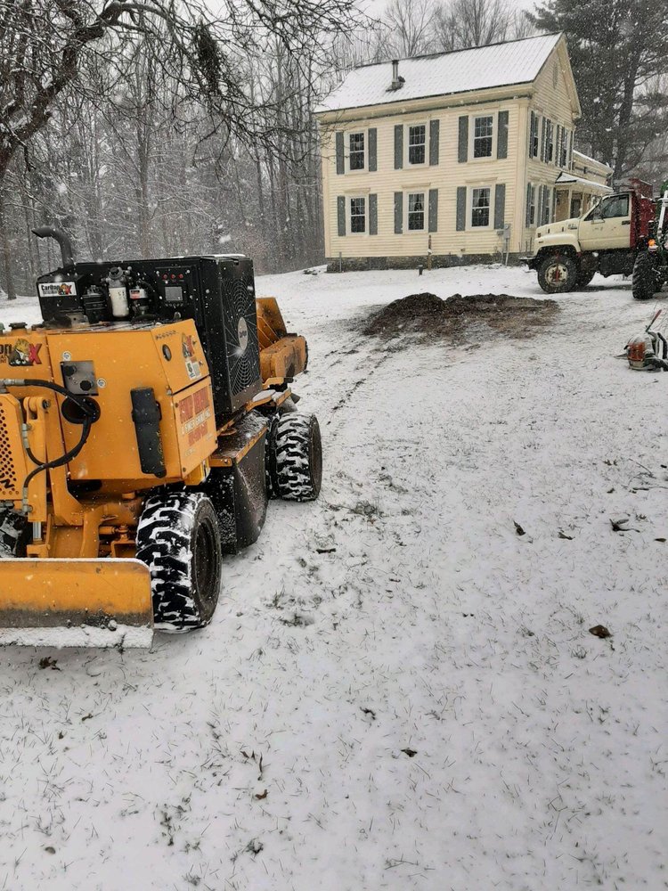 A Finer Grind Stump Removal