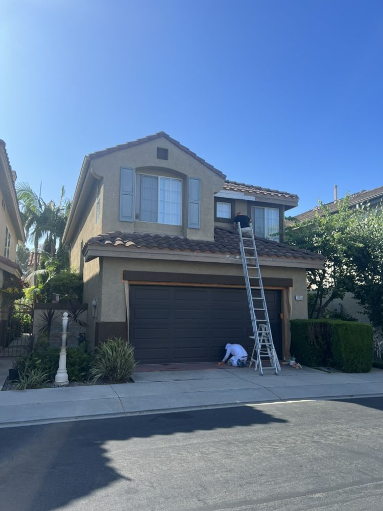 image of business Custom Painting & Decorating