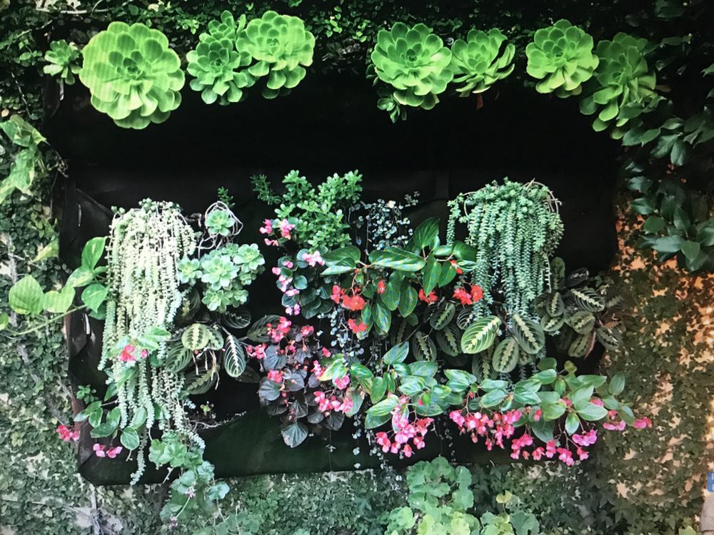 Vertical Drought Tolerant Garden Bring Beauty To Smaller Spaces Yelp Photo Of Celtic Nature Landscape Design Los Angeles Ca United States Vertical