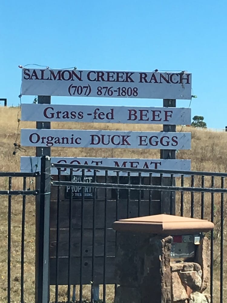 Salmon Creek Ranch 14 Photos Farmers Market 1400 Bay Hill Rd