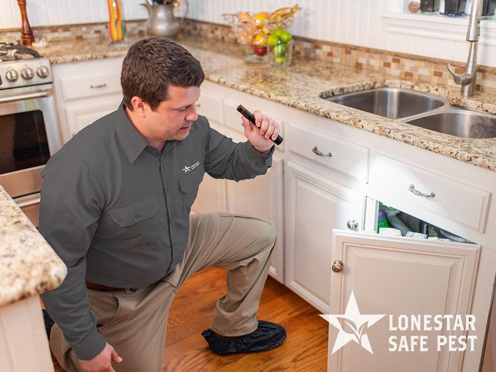 Lonestar Safe Pest