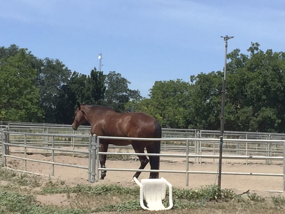 UC Davis Equestrian Center Fitness & Instruction 1 Equestrian Ln, Davis, CA Phone Number