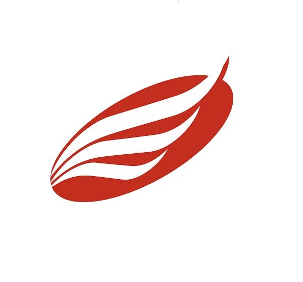 American Eagle Financial Credit Union Banks Credit Unions 417 American eagle financial credit union banks credit unions 417