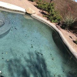 desert landscaping pools landscaping 4960 s gilbert rd 1 167