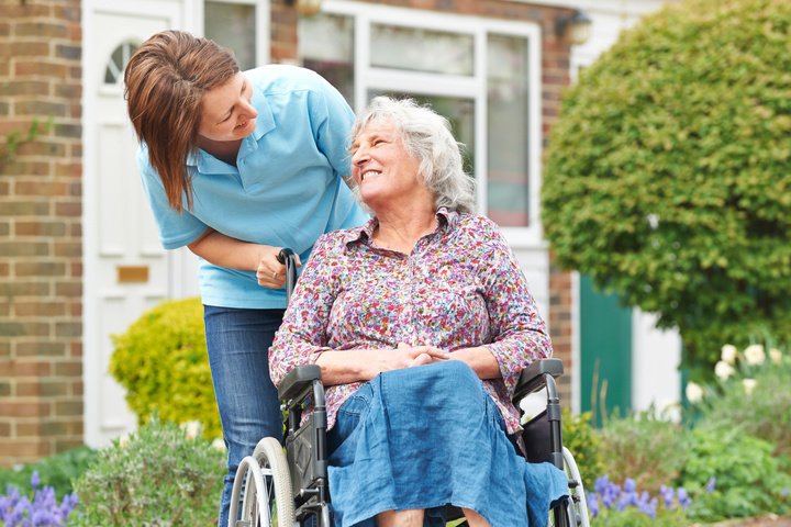 Family Tree In-Home Care
