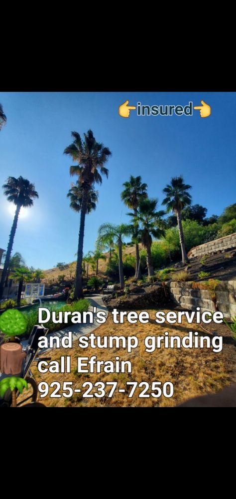 Duran's Tree service