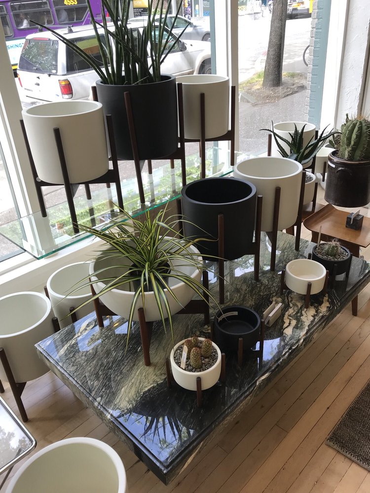 Homestead Seattle