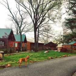 Lee S Grand Lake Resort Resorts 24800 S 630th Rd Grove Ok