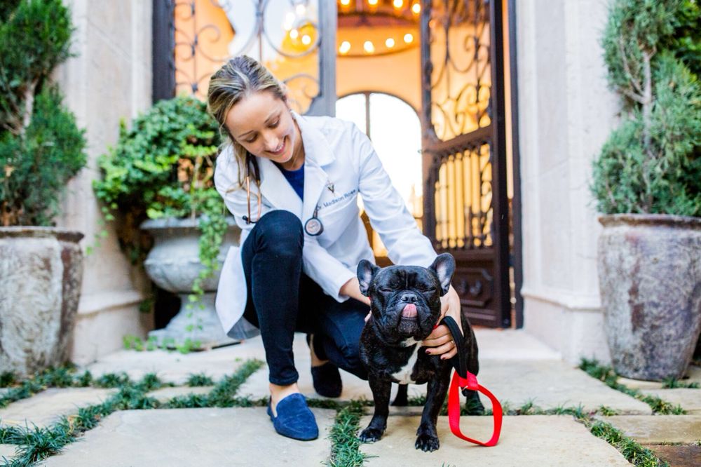 San Diego Neighborhood Vet