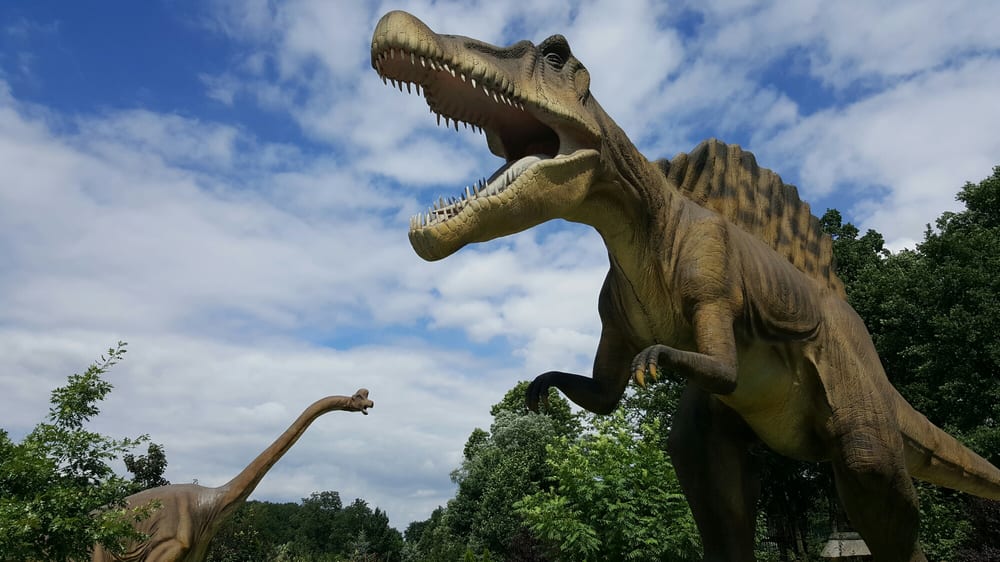 Photo of Dream Park