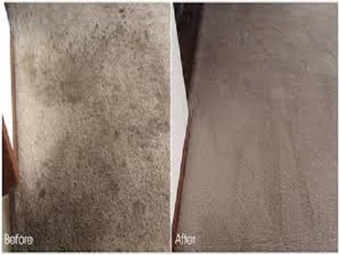 Mr Steamer Carpet Cleaner Cleaning Katy Tx Phone Photo Of Bmf Carpet Cleaning Katy Tx United States This Is The
