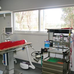 Photo of Gregory Hills - Macarthur Vet Group - Gregory Hills New South Wales, Australia. Surgery