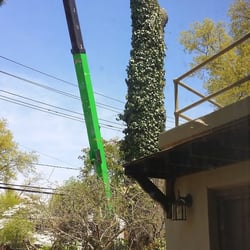 Tree Service Fair Lawn  Photo of Green Star Tree Experts - Fair Lawn, NJ, United States. Everything