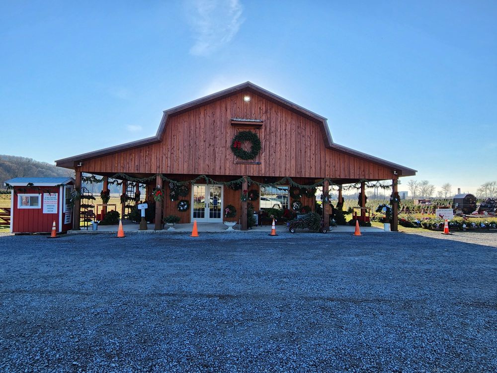 Wyckoff's Christmas Tree Farm