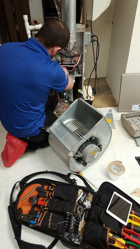 TLC Services