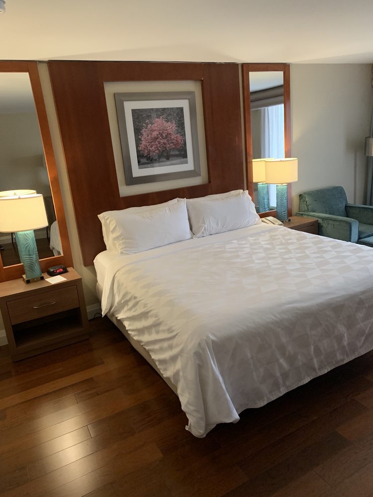 Holiday Inn Niagara Falls - By The Falls