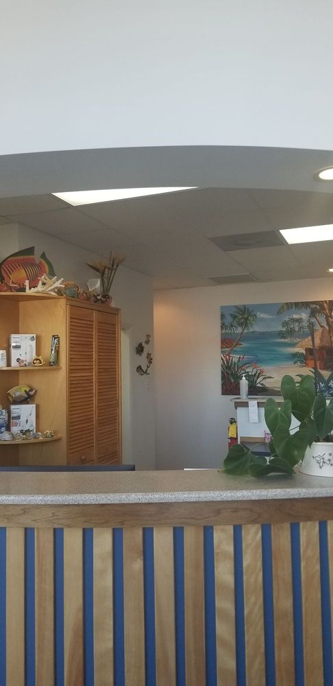 image of business Bay Wolfgang J, MD