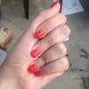 Ms