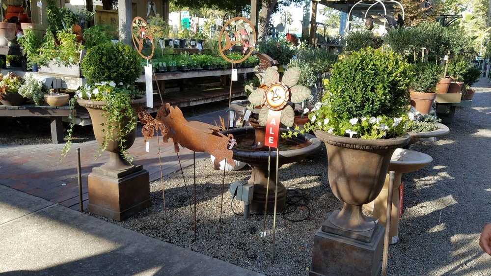 The Greenery Nursery 23 Photos & 13 Reviews Nurseries & Gardening