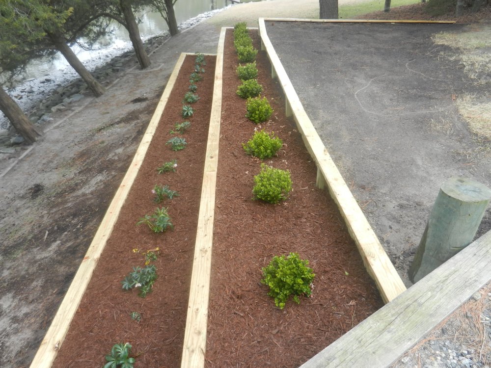 Oceanside Landscaping