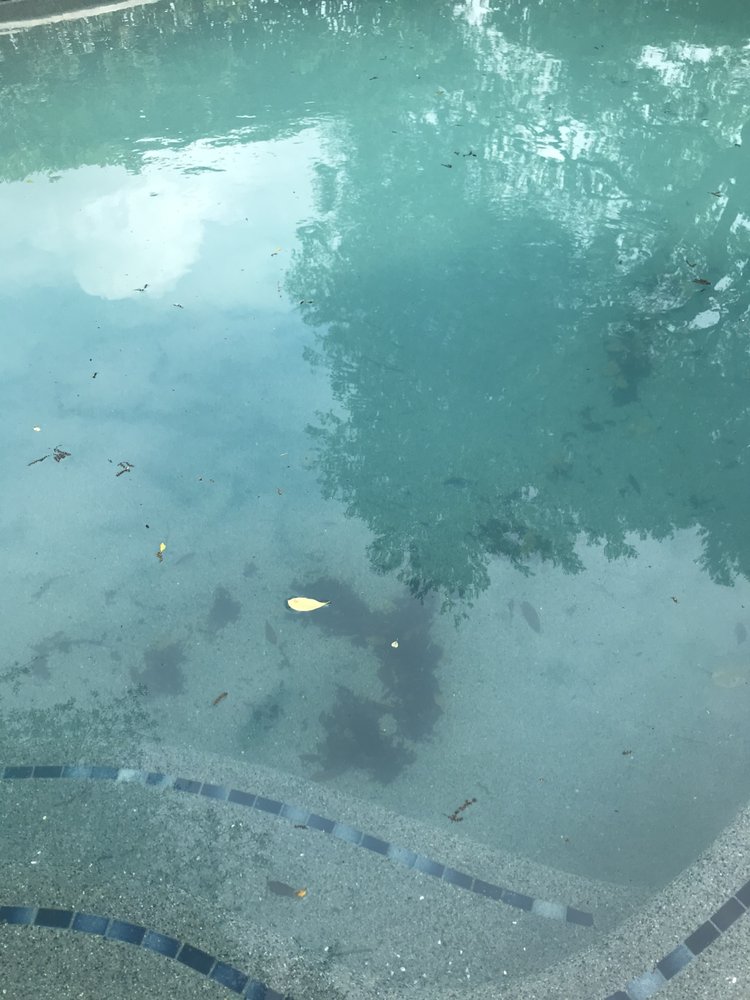 Stearns Pool & Spa