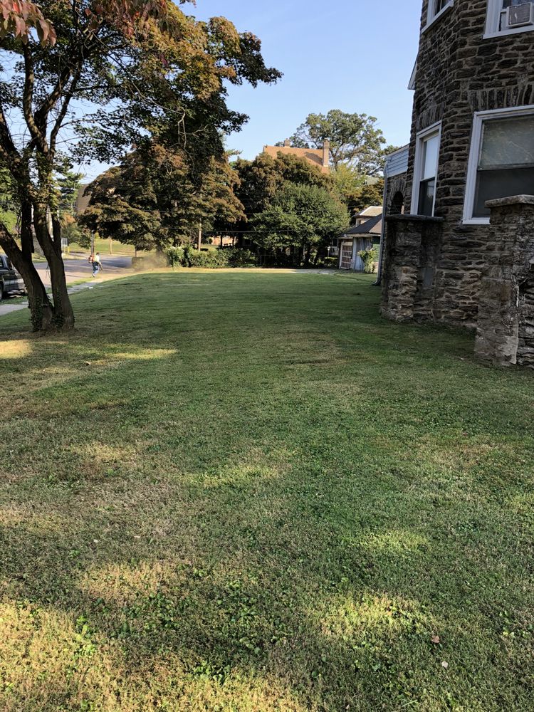Cancer Fighting Lawn Care