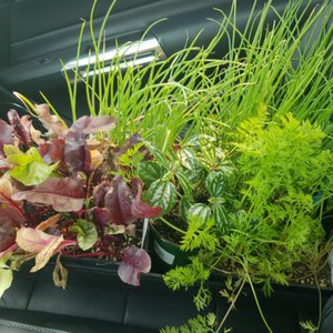 Shorty S Garden Center 2019 All You Need To Know Before Shorty S Garden Center 2019 All You Need To Know Before