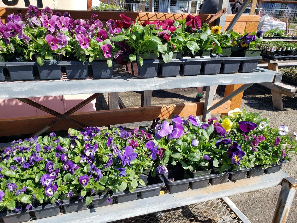 Goods Produce & Nursery