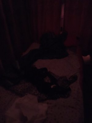 FREE IPHONE ADULT VIDEO CHATTING Cum in my pussey