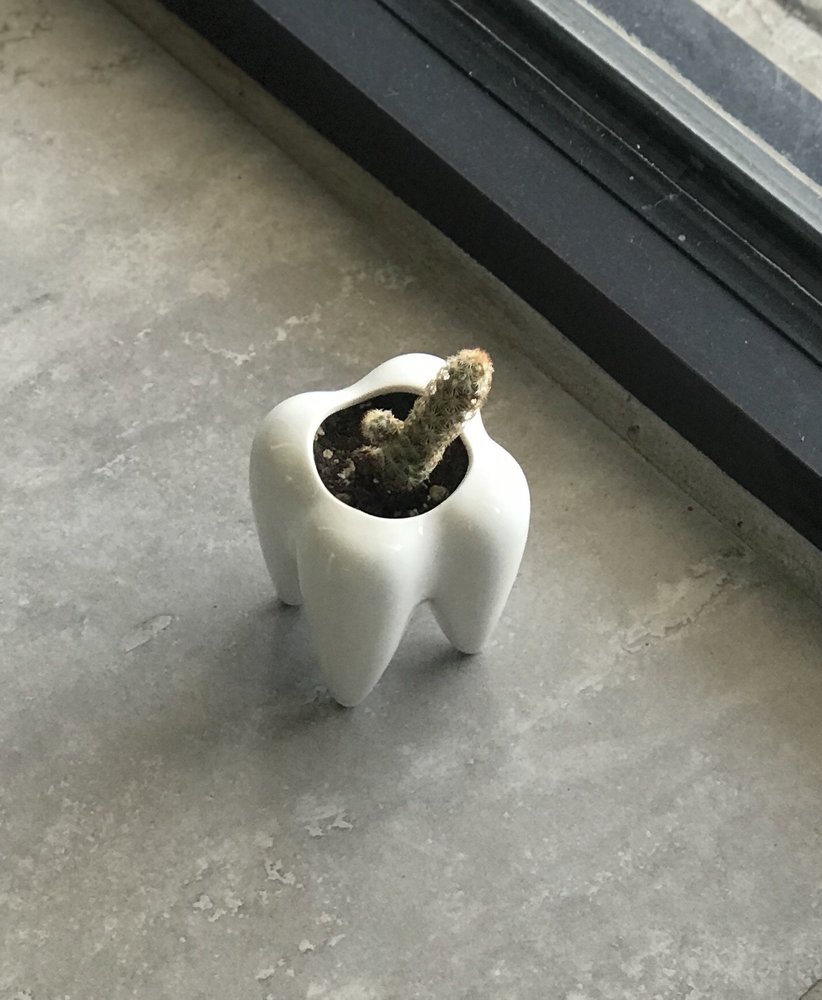 image of business Advanced Dental McAllen