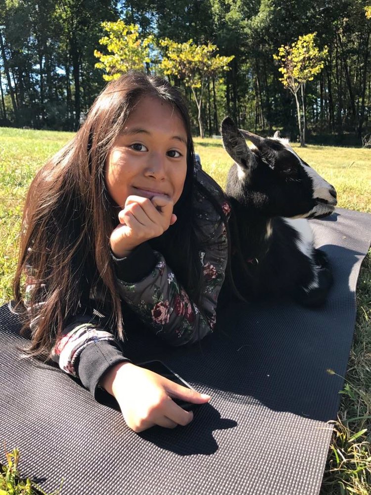 Little Goat Farm at the Lake