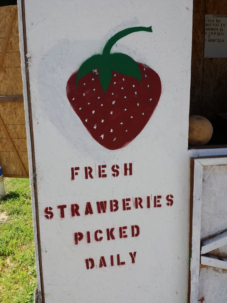 Saetern Strawberries