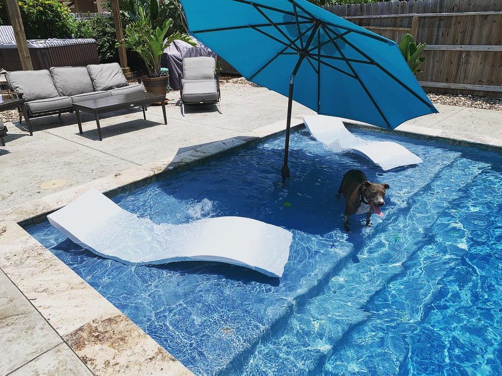 Wade In The Water Pool & Spa Services