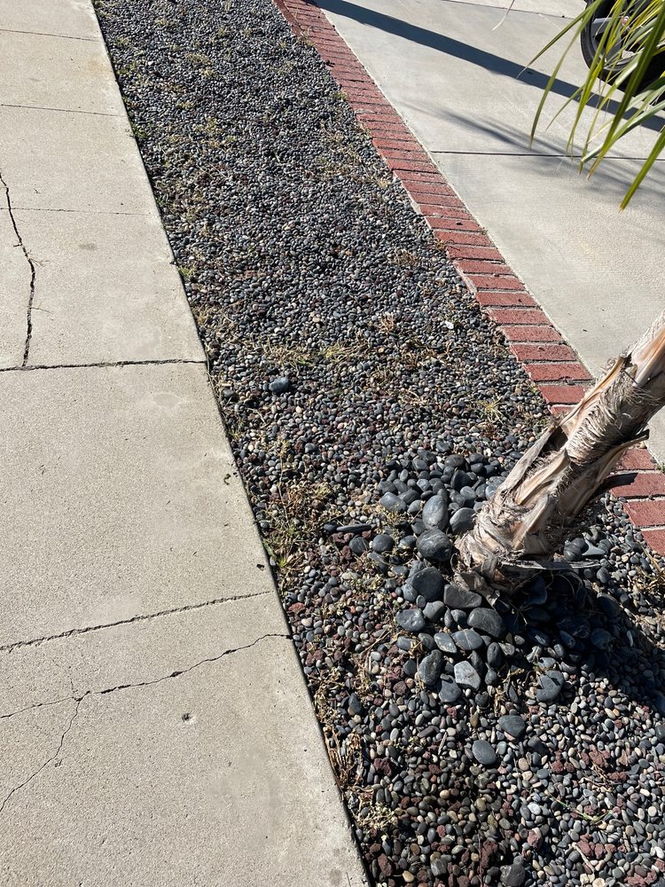 Cruz Tree Service & Landscaping