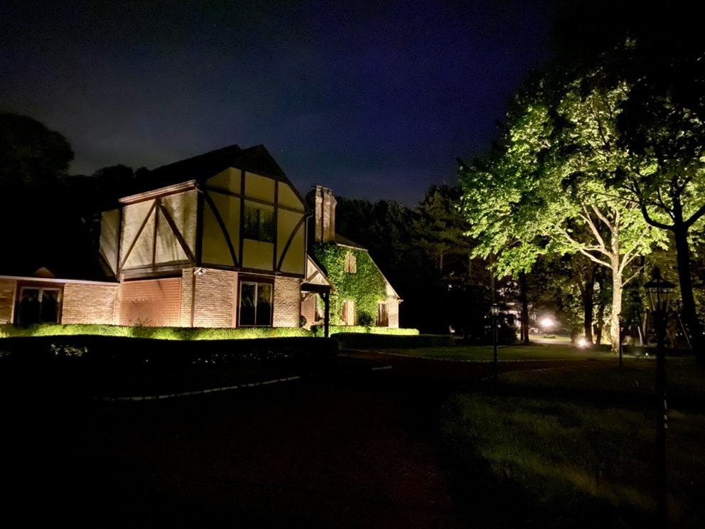 Hamptons Landscape Lighting