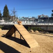 dog agility park near me dog agility park near me
