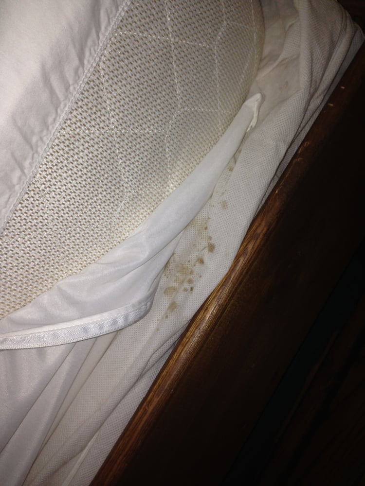 Some Sort Of Mold Diarrhea Vomit Substance On My Mattress Pad Photo Of White Pines Resort Mount Morris Il United States Some Sort