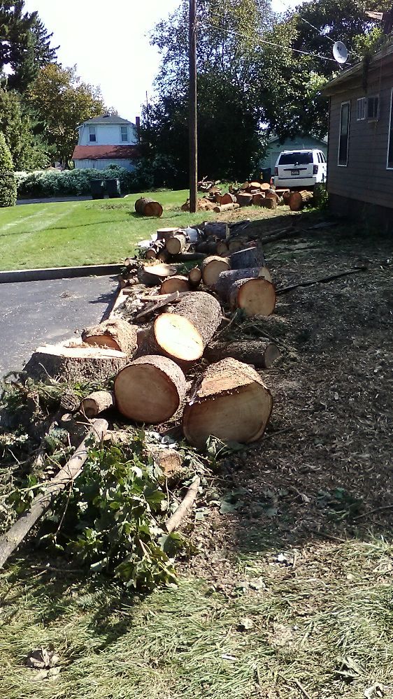 Brads Tree Service