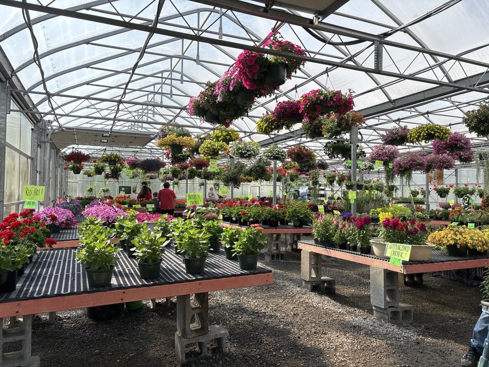 Earsing's Green House