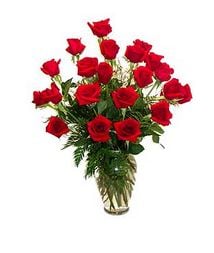 Connect With Flowers